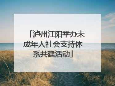 泸州江阳举办未成年人社会支持体系共建活动