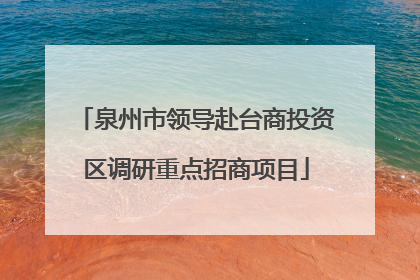 泉州市领导赴台商投资区调研重点招商项目