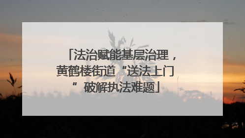 法治赋能基层治理，黄鹤楼街道“送法上门”破解执法难题