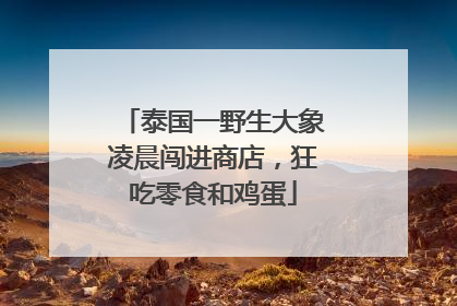 泰国一野生大象凌晨闯进商店，狂吃零食和鸡蛋