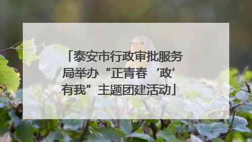 泰安市行政审批服务局举办“正青春‘政’有我”主题团建活动