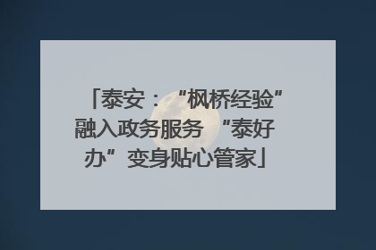 泰安：“枫桥经验”融入政务服务 “泰好办”变身贴心管家