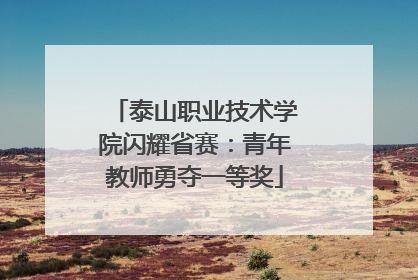 泰山职业技术学院闪耀省赛：青年教师勇夺一等奖