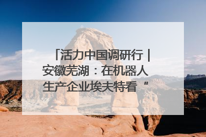 活力中国调研行｜安徽芜湖：在机器人生产企业埃夫特看“中国智造”