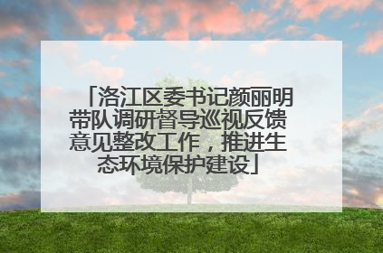 洛江区委书记颜丽明带队调研督导巡视反馈意见整改工作，推进生态环境保护建设