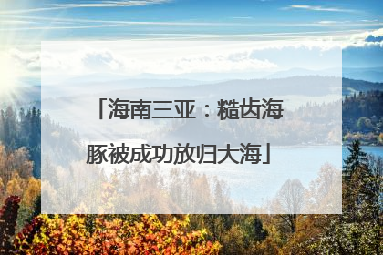 海南三亚：糙齿海豚被成功放归大海