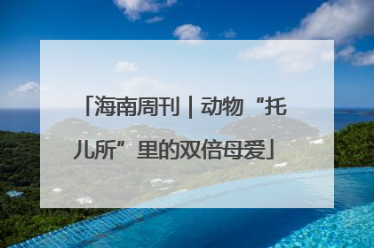 海南周刊｜动物“托儿所”里的双倍母爱