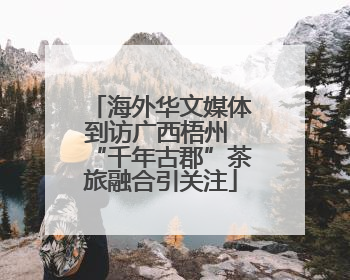 海外华文媒体到访广西梧州 “千年古郡”茶旅融合引关注