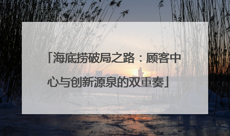 海底捞破局之路：顾客中心与创新源泉的双重奏