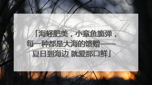 海蛏肥美，小章鱼脆弹，每一种都是大海的馈赠——夏日到海边 就爱那口鲜