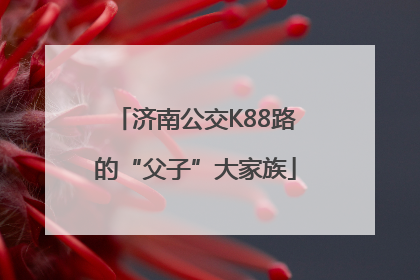 济南公交K88路的“父子”大家族