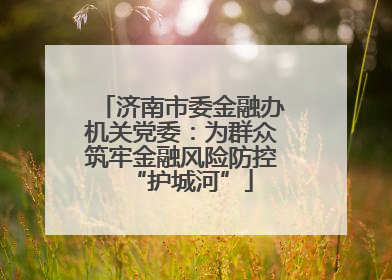 济南市委金融办机关党委：为群众筑牢金融风险防控“护城河”