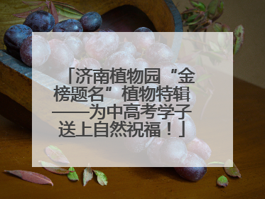 济南植物园“金榜题名”植物特辑——为中高考学子送上自然祝福！