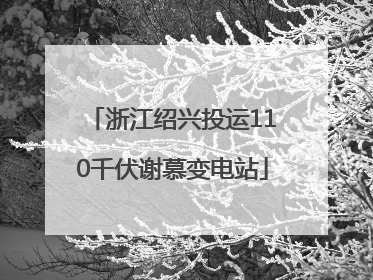 浙江绍兴投运110千伏谢慕变电站
