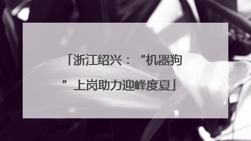浙江绍兴：“机器狗”上岗助力迎峰度夏