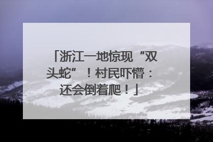 浙江一地惊现“双头蛇”！村民吓懵：还会倒着爬！