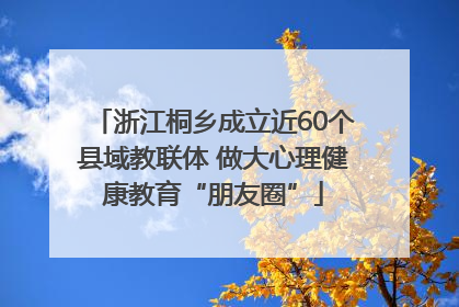 浙江桐乡成立近60个县域教联体 做大心理健康教育“朋友圈”