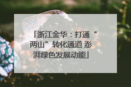 浙江金华：打通“两山”转化通道 澎湃绿色发展动能