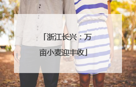 浙江长兴：万亩小麦迎丰收