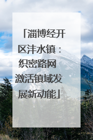 淄博经开区沣水镇：织密路网 激活镇域发展新动能