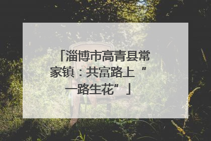 淄博市高青县常家镇：共富路上“一路生花”
