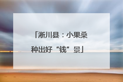 淅川县：小果桑种出好“钱”景