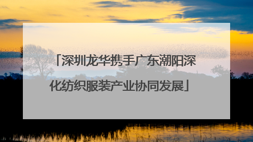 深圳龙华携手广东潮阳深化纺织服装产业协同发展