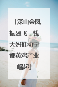 深山金凤振翅飞，钱大妈推动宁都黄鸡产业崛起