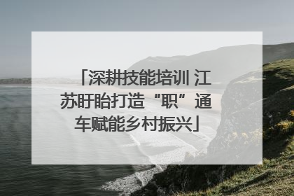 深耕技能培训 江苏盱眙打造“职”通车赋能乡村振兴