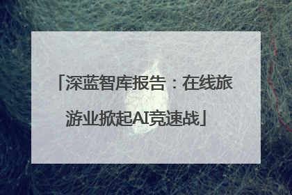 深蓝智库报告：在线旅游业掀起AI竞速战