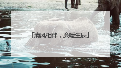 清风相伴，廉暖生辰