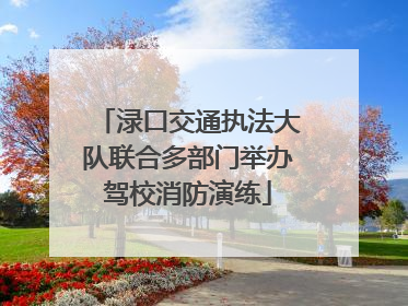 渌口交通执法大队联合多部门举办驾校消防演练