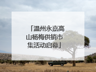 温州永嘉高山杨梅供销市集活动启幕
