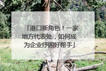 港口新角色！一家地方代表处，如何成为企业纾困好帮手