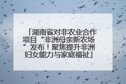 湖南省对非农业合作项目“非洲母亲新农场”发布！聚焦提升非洲妇女能力与家庭福祉
