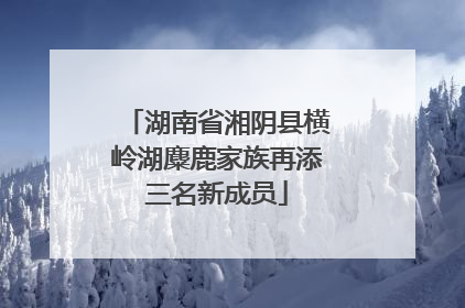 湖南省湘阴县横岭湖麋鹿家族再添三名新成员