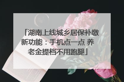 湖南上线城乡居保补缴新功能：手机点一点 养老金提档不用跑腿