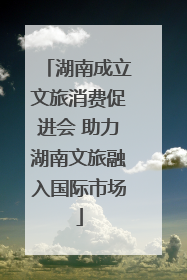 湖南成立文旅消费促进会 助力湖南文旅融入国际市场