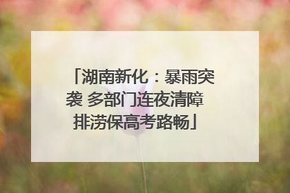 湖南新化：暴雨突袭 多部门连夜清障排涝保高考路畅