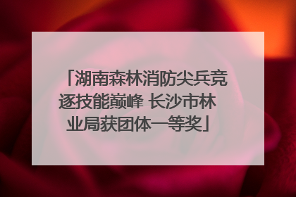 湖南森林消防尖兵竞逐技能巅峰 长沙市林业局获团体一等奖