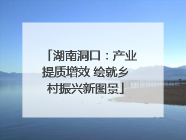 湖南洞口：产业提质增效 绘就乡村振兴新图景
