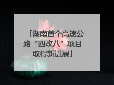 湖南首个高速公路“四改八”项目取得新进展