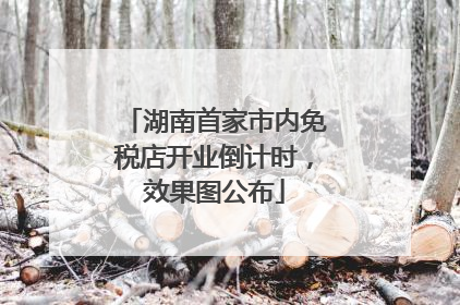湖南首家市内免税店开业倒计时，效果图公布