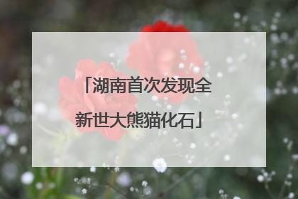 湖南首次发现全新世大熊猫化石