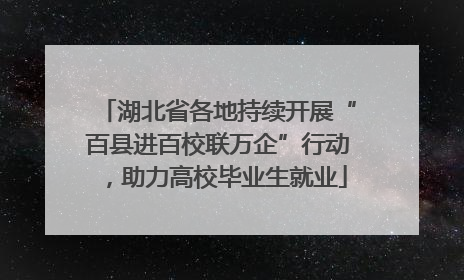 湖北省各地持续开展“百县进百校联万企”行动，助力高校毕业生就业