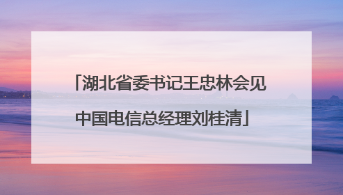 湖北省委书记王忠林会见中国电信总经理刘桂清