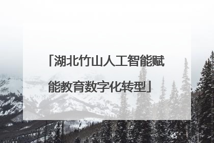 湖北竹山人工智能赋能教育数字化转型