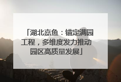 湖北嘉鱼：锚定满园工程，多维度发力推动园区高质量发展