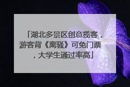 湖北多景区创意揽客，游客背《离骚》可免门票，大学生通过率高