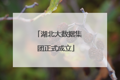 湖北大数据集团正式成立